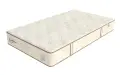 27218.webp