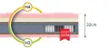 Materac-multipocketowy-Kalips-visco-memory-lateks-kokos-kieszeniowy1.jpg