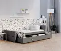 Tajmon_szary_aranzacja.webp
